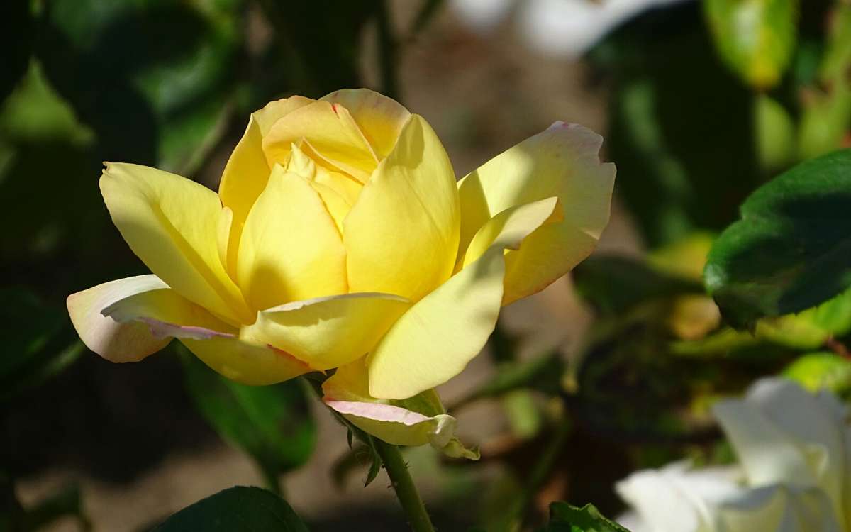 ����� �� ��������� ������� ����� �������� �������� �� PhotoGeek.ru #����� #�����