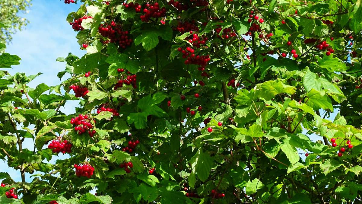 ������� ������ ������. ����� �������� �������� �� PhotoGeek.ru #����� #������ ��� �������