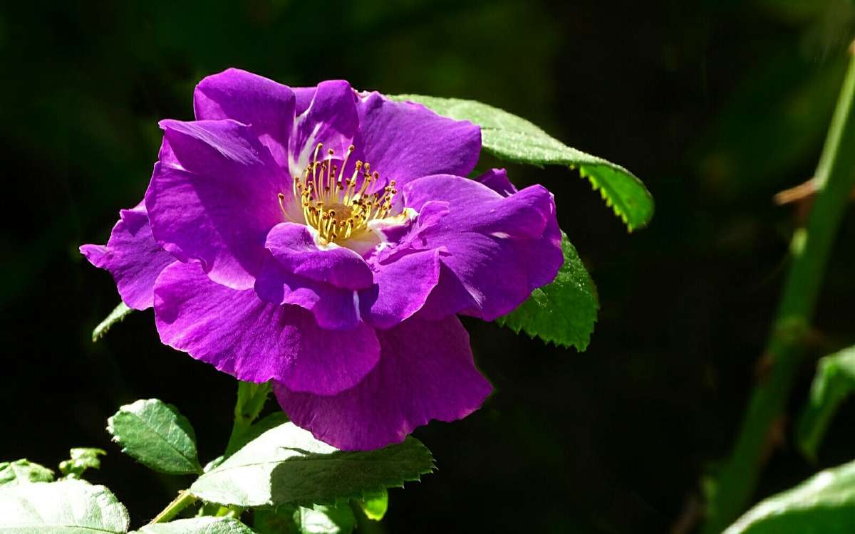 ������ - ����. ����� �������� �������� �� PhotoGeek.ru #����� #�����