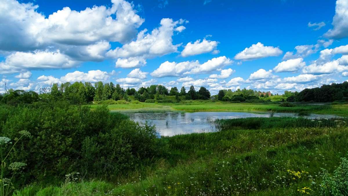 ��� � ���� ������, ������ � �� ������...! ����� �������� �������� �� PhotoGeek.ru #������ ��� �������