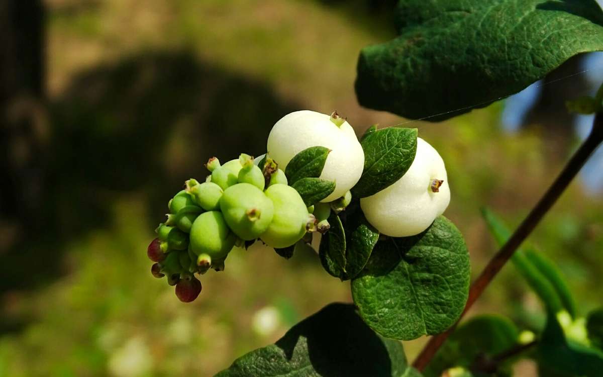 ����� �������������. ����� �������� �������� �� PhotoGeek.ru #����� #�����