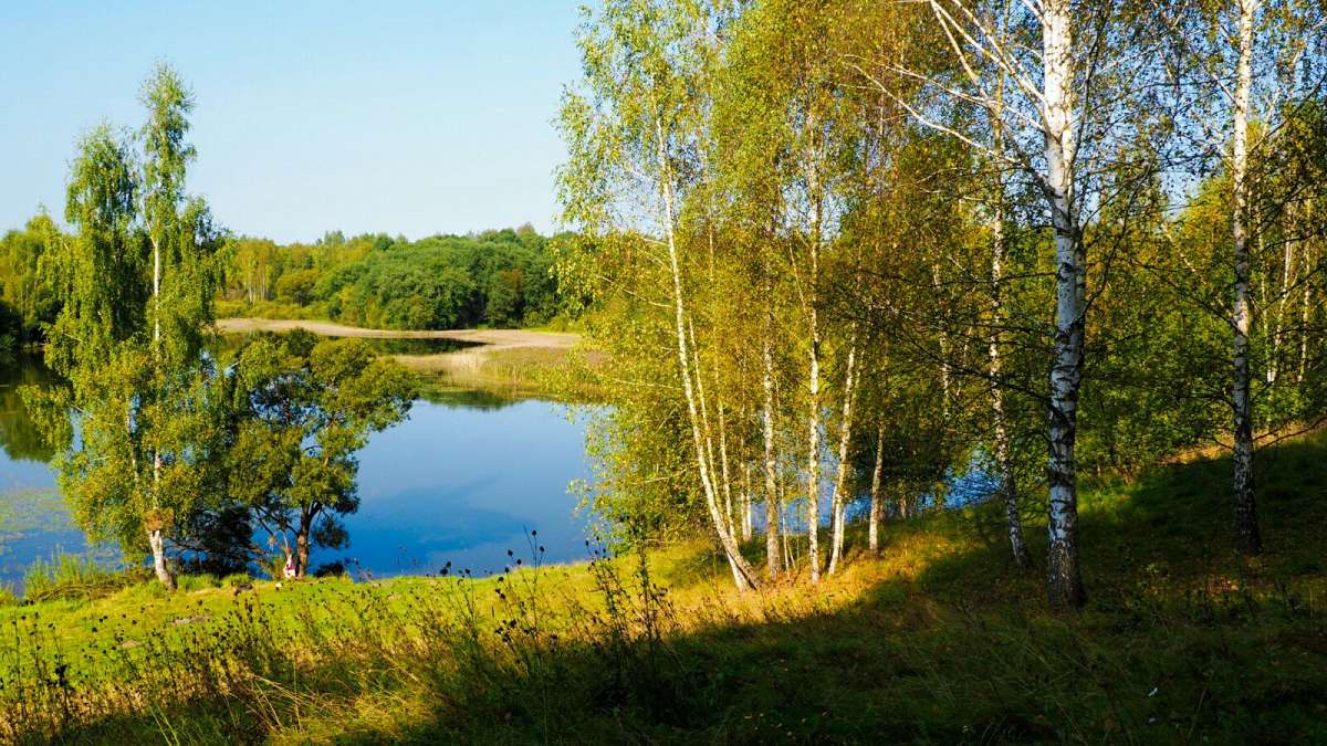 ����� ������� ���� �������. ����� �������� �������� �� PhotoGeek.ru #������ ��� �������