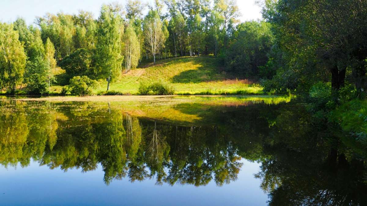 ������� � ����� ����. ����� �������� �������� �� PhotoGeek.ru #������ ��� �������