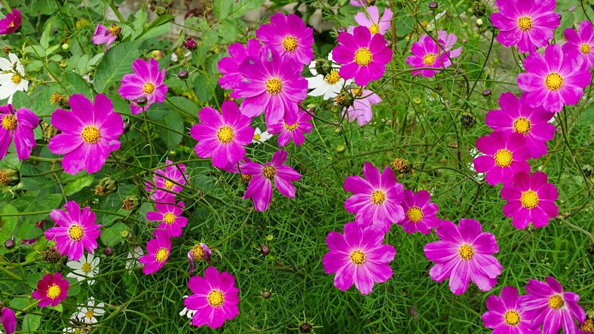 ��������� ���� �������. ����� �������� �������� �� PhotoGeek.ru #����� #����� #������ ��� �������