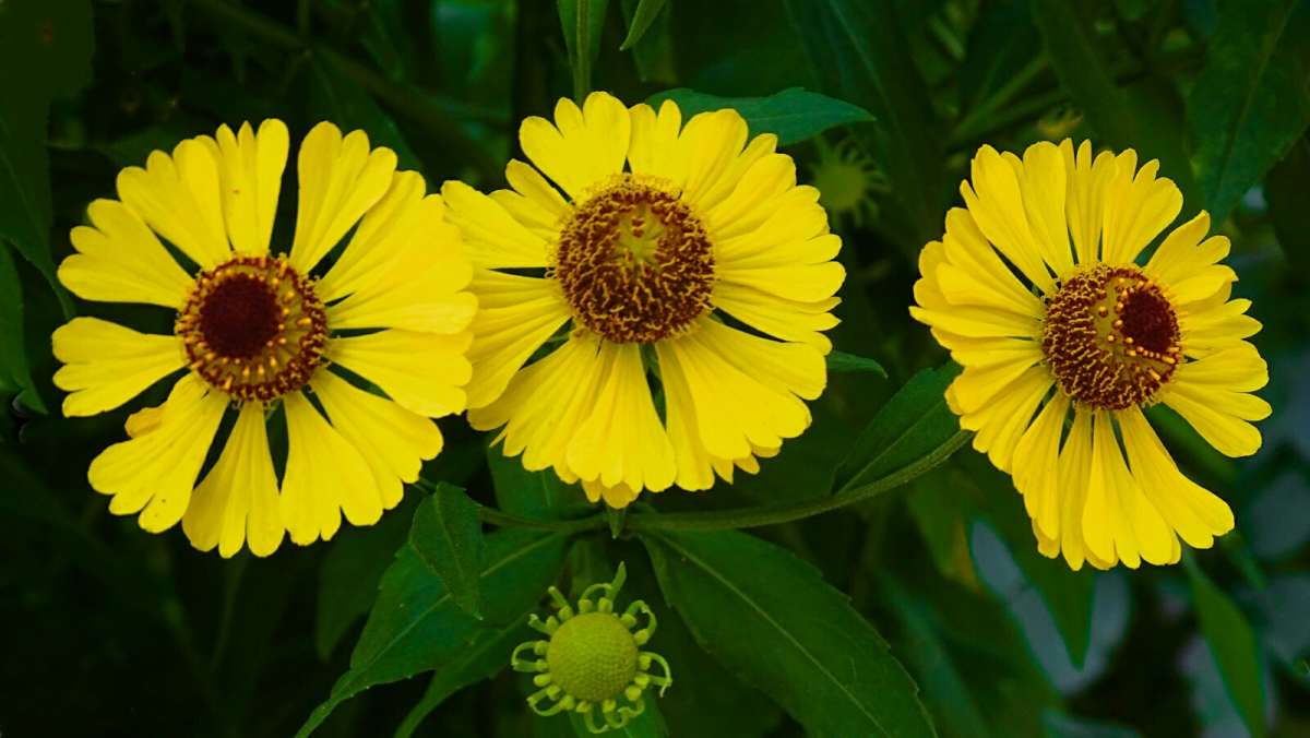 ��������� ����� ����� �������� �������� �� PhotoGeek.ru #����� #�����