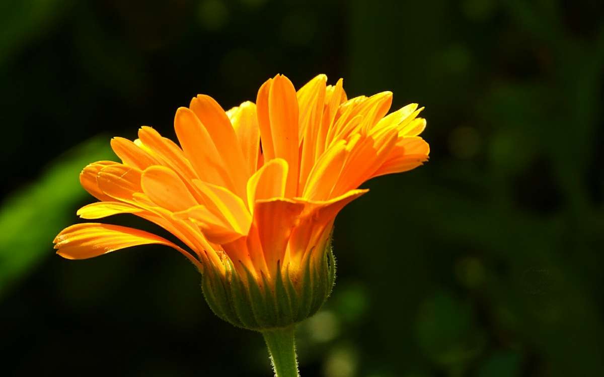 ��������� ������ ����� �������� �������� �� PhotoGeek.ru #����� #�����