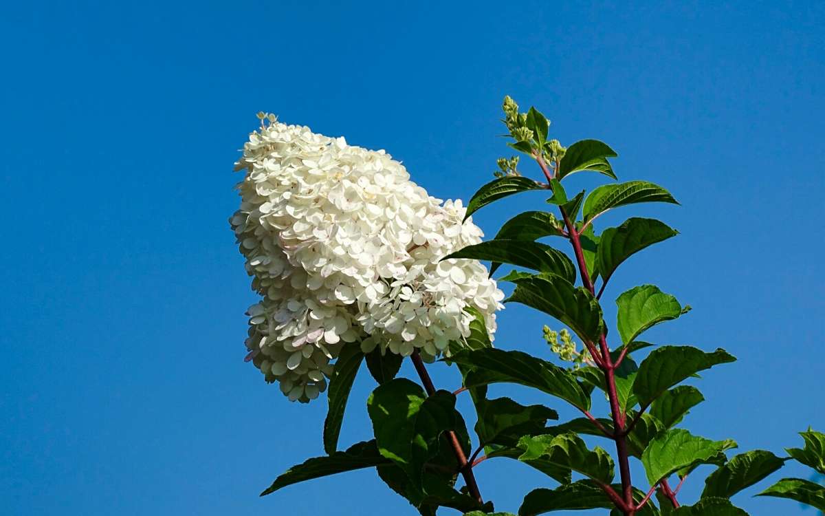 ��������� ����� �������� �������� �� PhotoGeek.ru #����� #�����