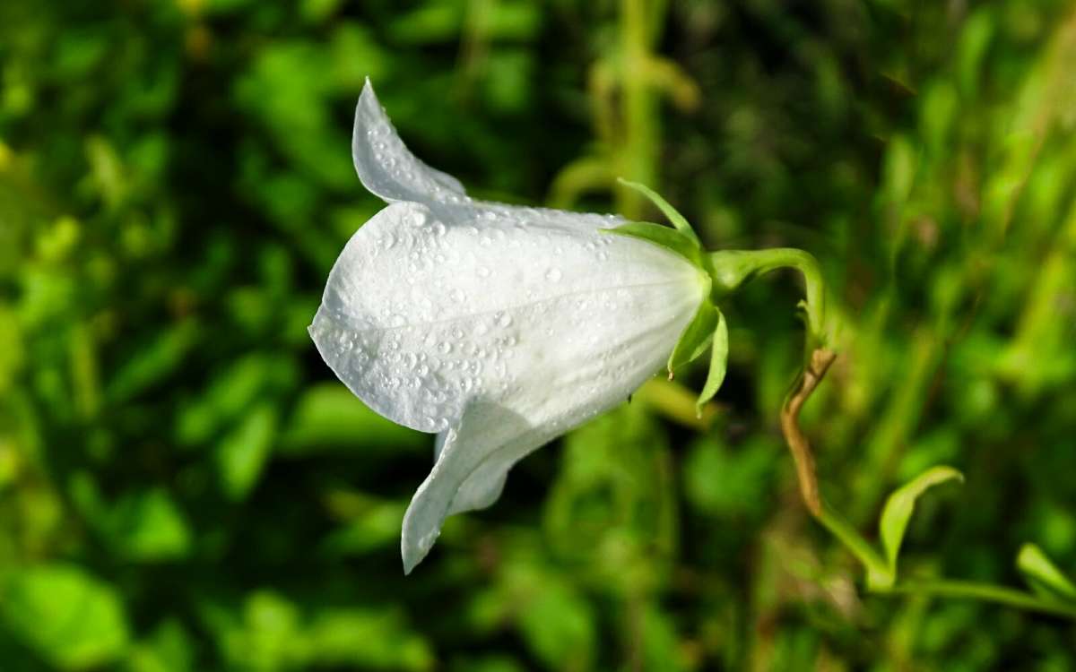 ������� �����������. ����� �������� �������� �� PhotoGeek.ru #�����