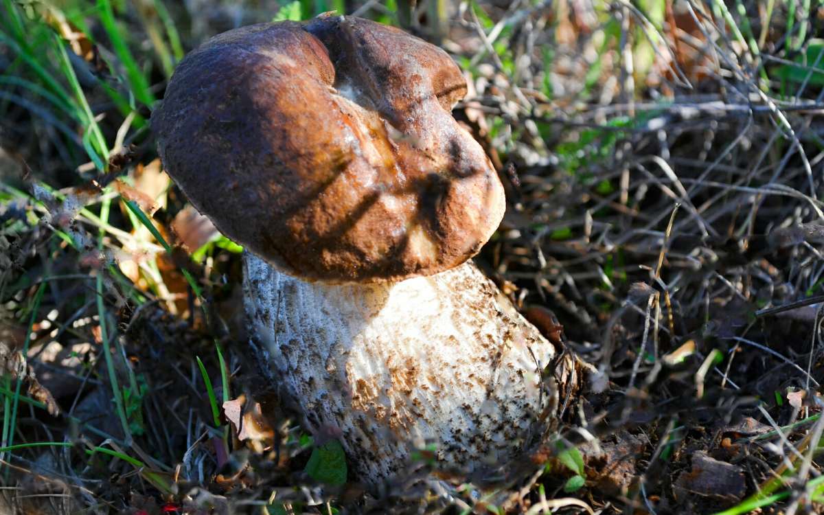 ������� ����� �� ����������. ����� �������� �������� �� PhotoGeek.ru #����� #������ ��� �������