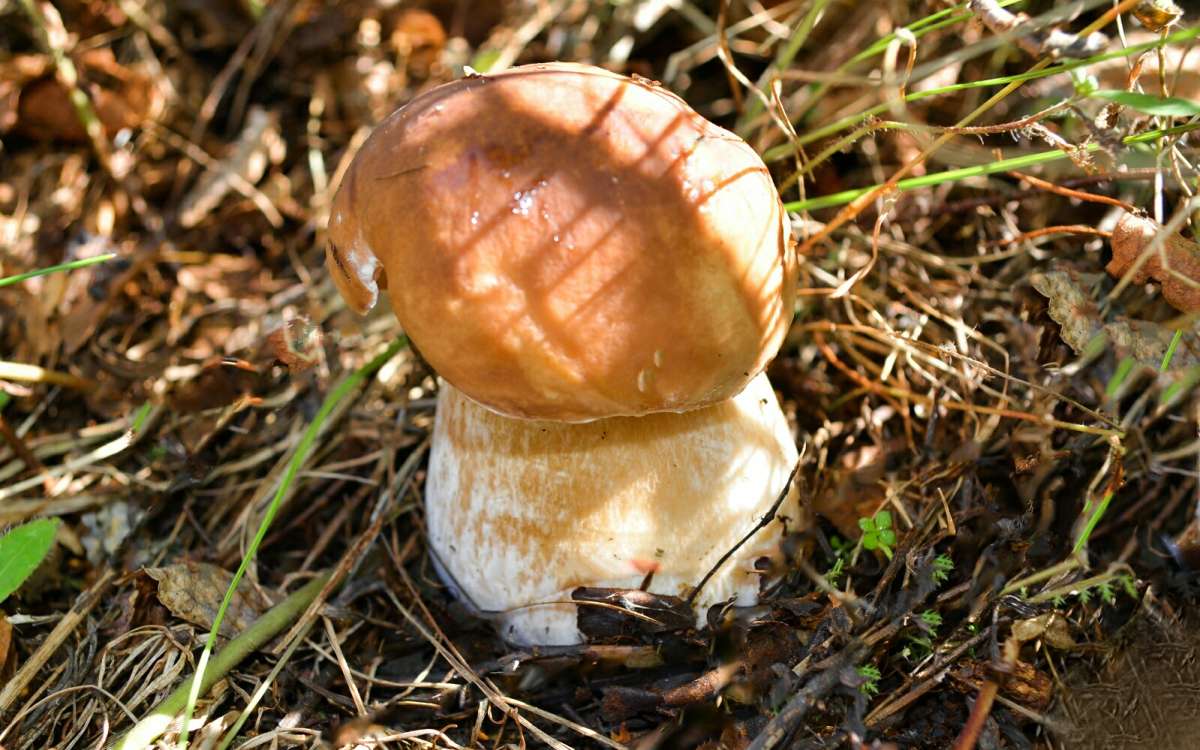 ������� ����� �� ���������� ����� �������� �������� �� PhotoGeek.ru #����� #������ ��� �������