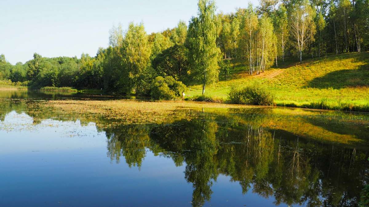 ����������� ����. ����� �������� �������� �� PhotoGeek.ru #������ ��� �������