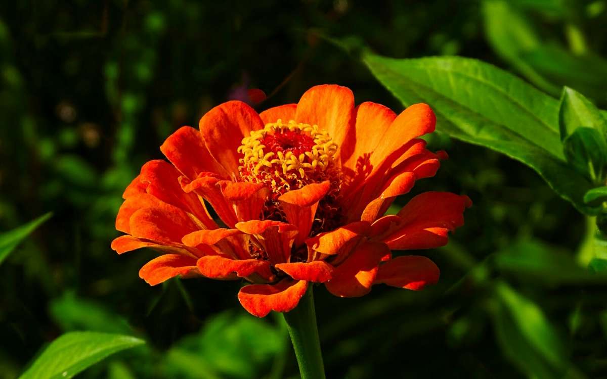 ����� �������. ����� �������� �������� �� PhotoGeek.ru #����� #�����