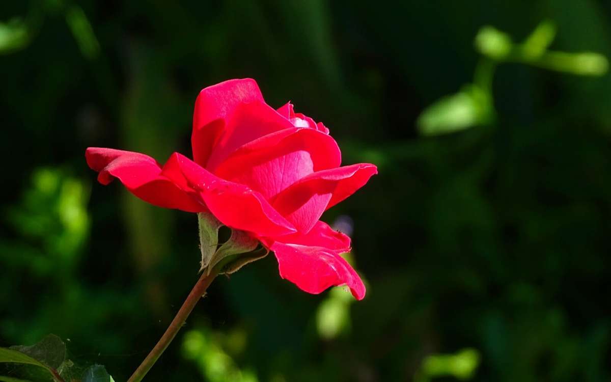 ��������� ����� ����� �������� �������� �� PhotoGeek.ru #����� #�����