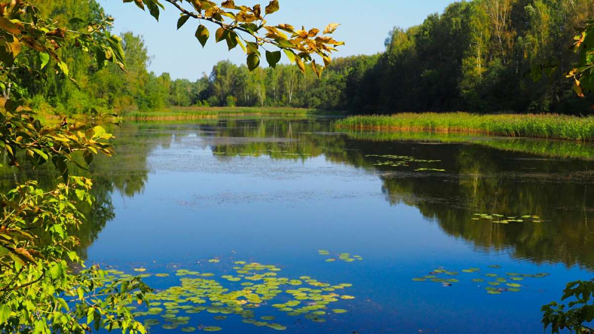 ������ ������. ����� �������� �������� �� PhotoGeek.ru #������ ��� �������