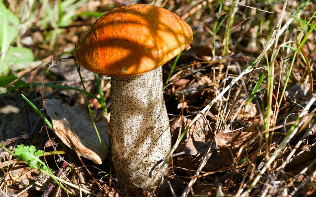 � ������ ����. ����� �������� �������� �� PhotoGeek.ru #����� #������ ��� �������