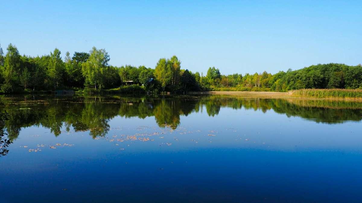 � ����� �������. ����� �������� �������� �� PhotoGeek.ru #������ ��� �������