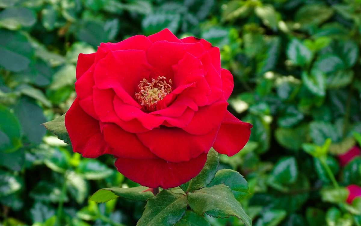 ��������� �����. ����� �������� �������� �� PhotoGeek.ru #����� #�����