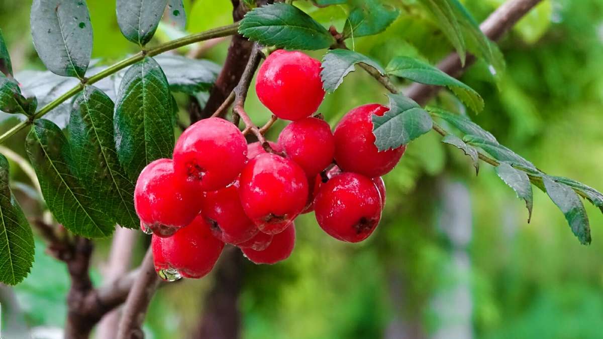 �������� ��������� ����. ����� �������� �������� �� PhotoGeek.ru #����� #������ ��� �������