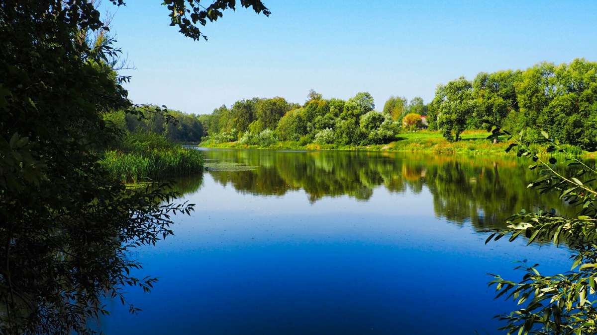 ��������� ���� ��������� ����. ����� �������� �������� �� PhotoGeek.ru #������ ��� �������