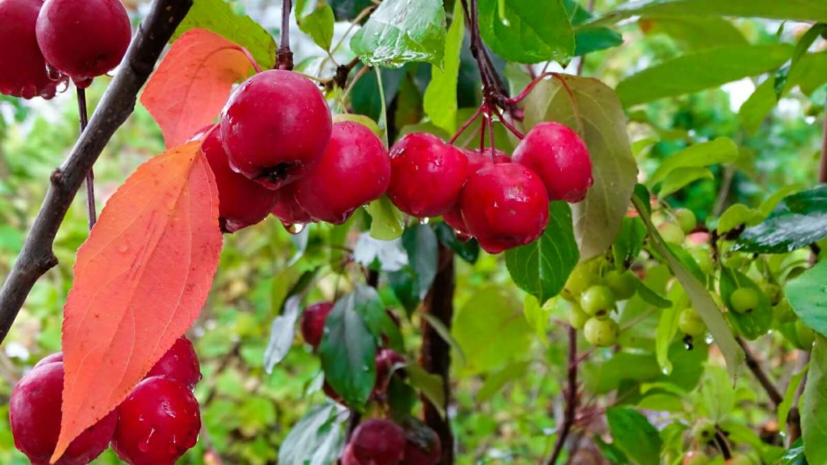 ��������� �����. ����� �������� �������� �� PhotoGeek.ru #����� #������ ��� �������