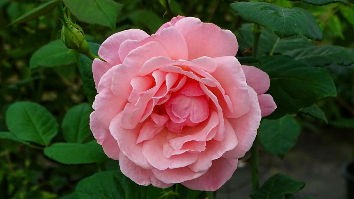 ����� �� ��������� �������. ����� �������� �������� �� PhotoGeek.ru #����� #�����