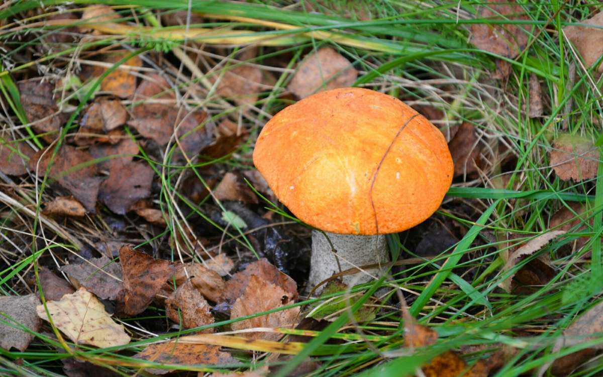 ����������� ����� �������� �������� �� PhotoGeek.ru #����� #������ ��� �������