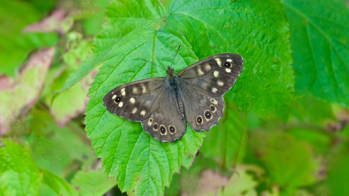 � �������� ����� �������� �������� �� PhotoGeek.ru #����� #������ ��� �������