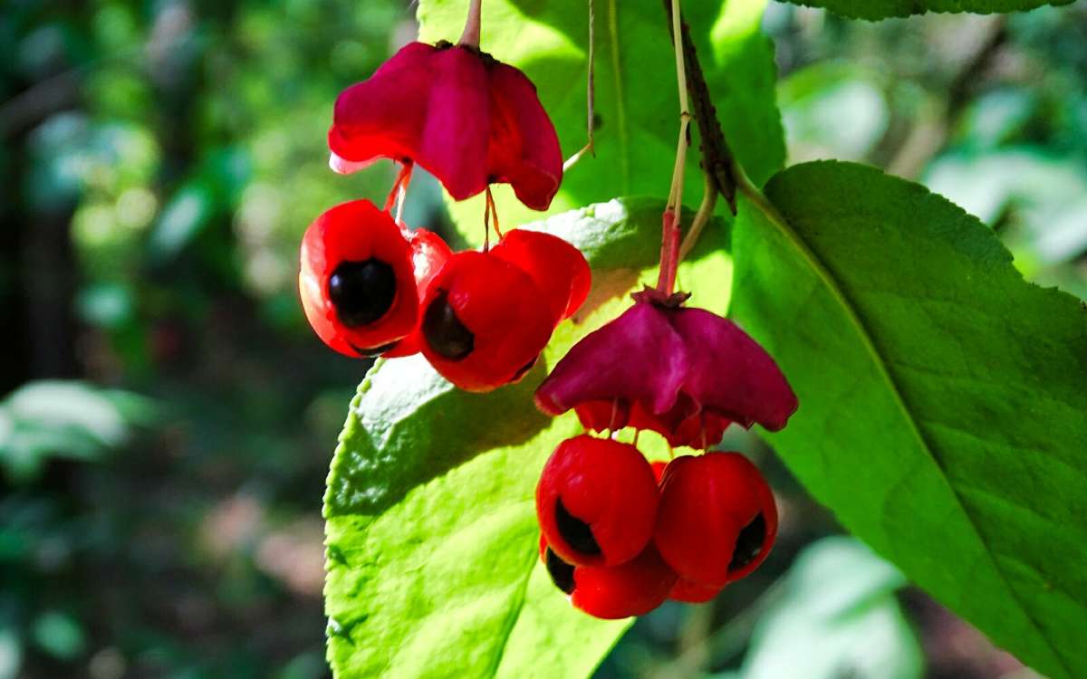 ��������� ����� �������� �������� �� PhotoGeek.ru #�����