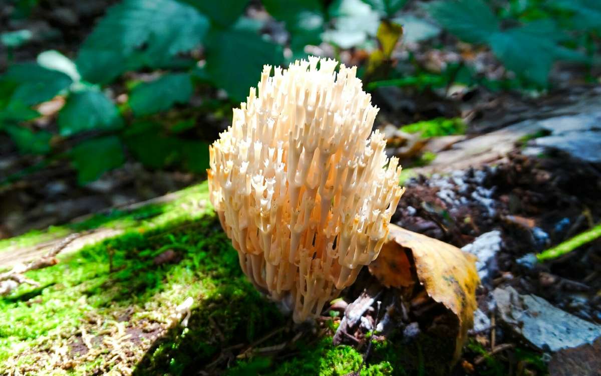 ��������� ���� - ������ �����. ����� �������� �������� �� PhotoGeek.ru #����� #������ ��� �������