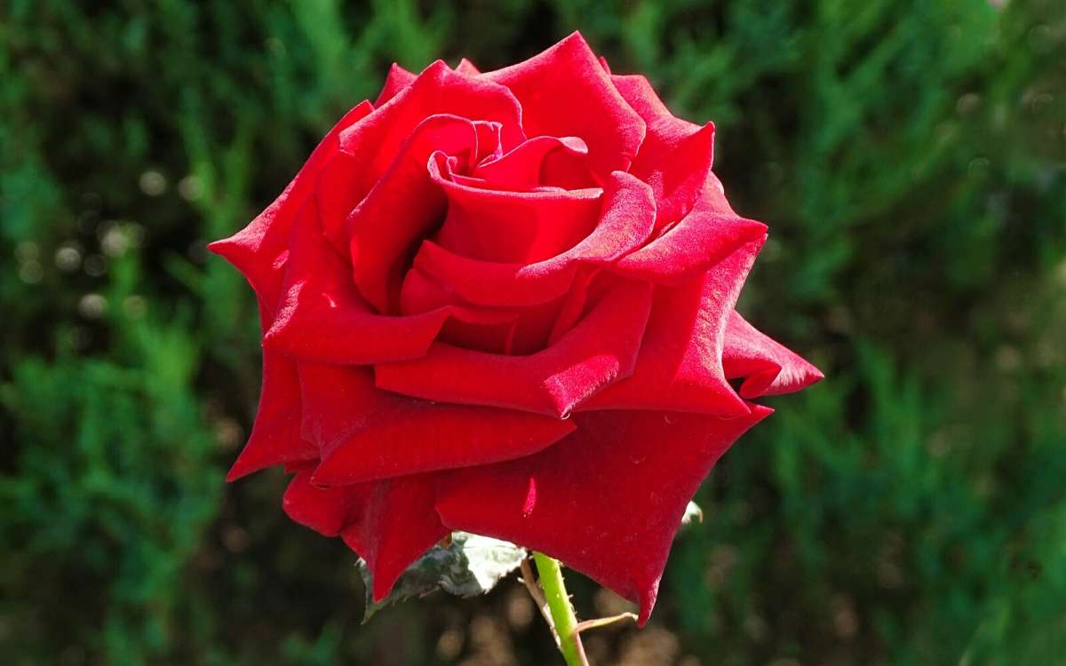 ��������� ����. ����� �������� �������� �� PhotoGeek.ru #����� #�����