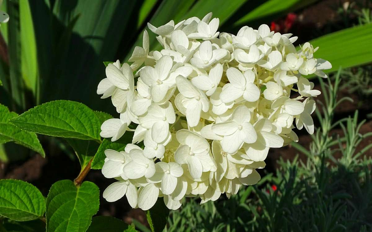 ��������� ����� �������� �������� �� PhotoGeek.ru #����� #�����