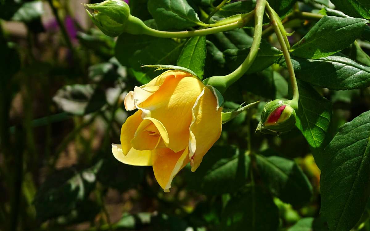 ظ� ��������� ���� ����. ����� �������� �������� �� PhotoGeek.ru #����� #�����