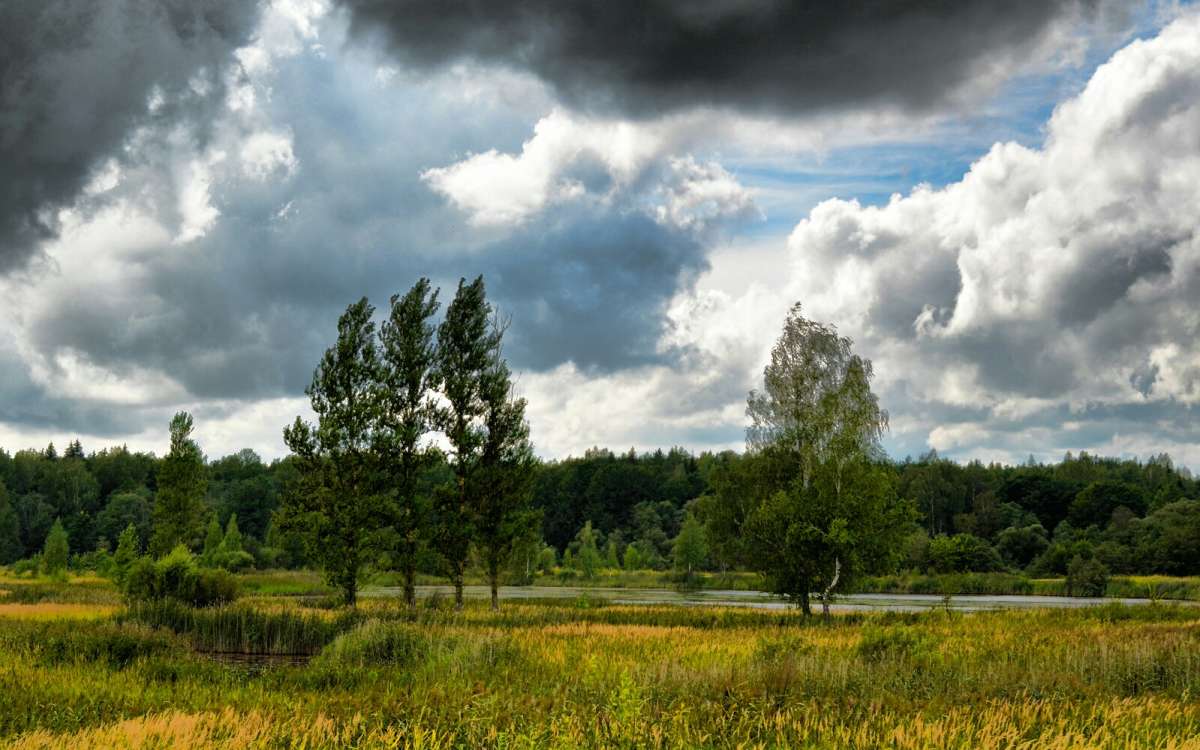 ���� �� ���� ���������� ����. ����� �������� �������� �� PhotoGeek.ru #������ ��� �������