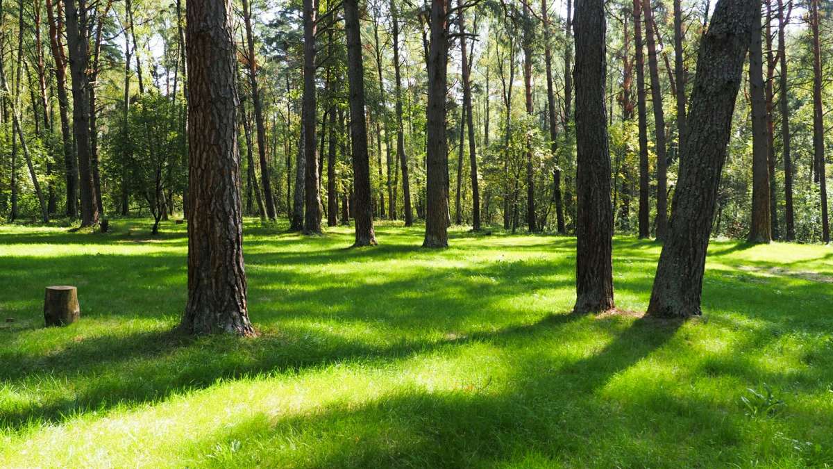 ����� ������ �����. ����� �������� �������� �� PhotoGeek.ru #������ ��� �������