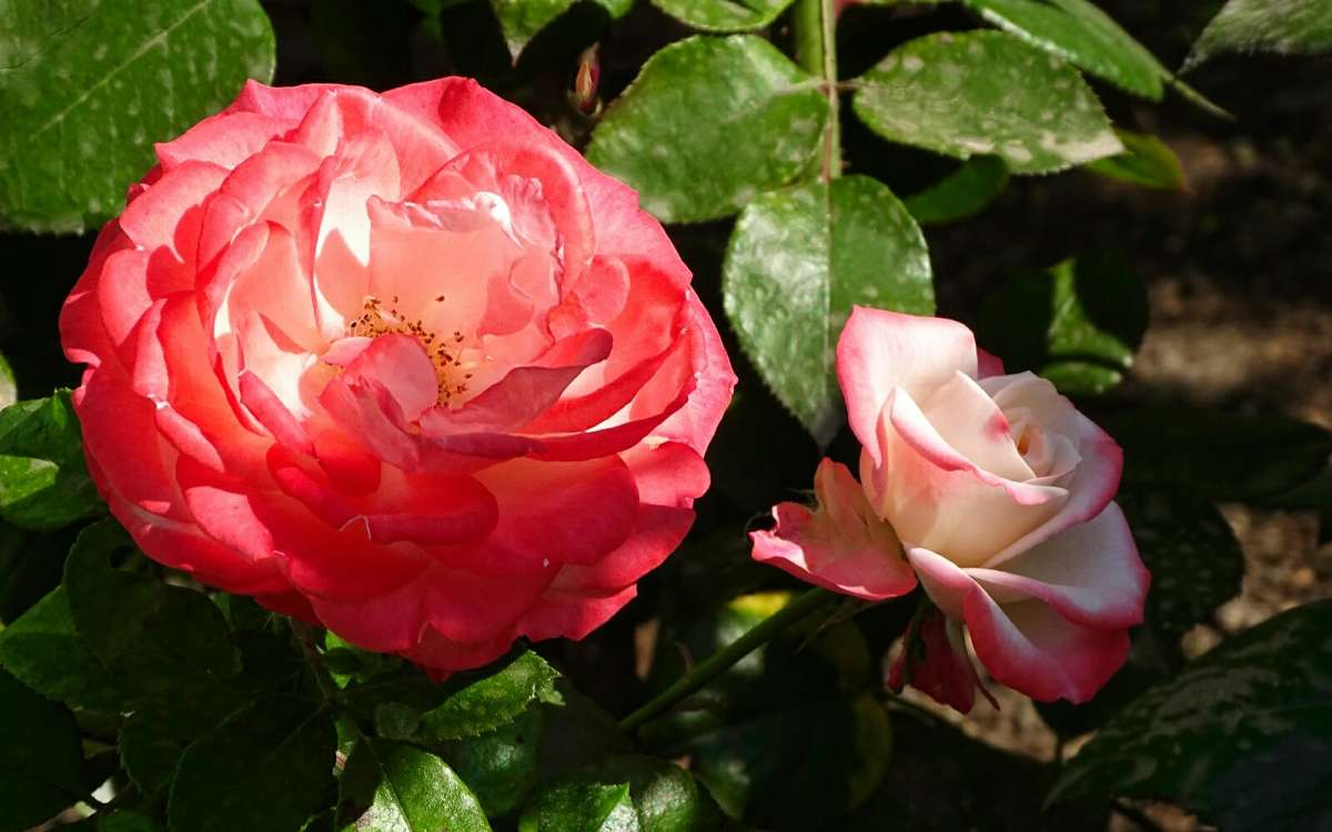 ����� �� ��������� �������. ����� �������� �������� �� PhotoGeek.ru #����� #�����