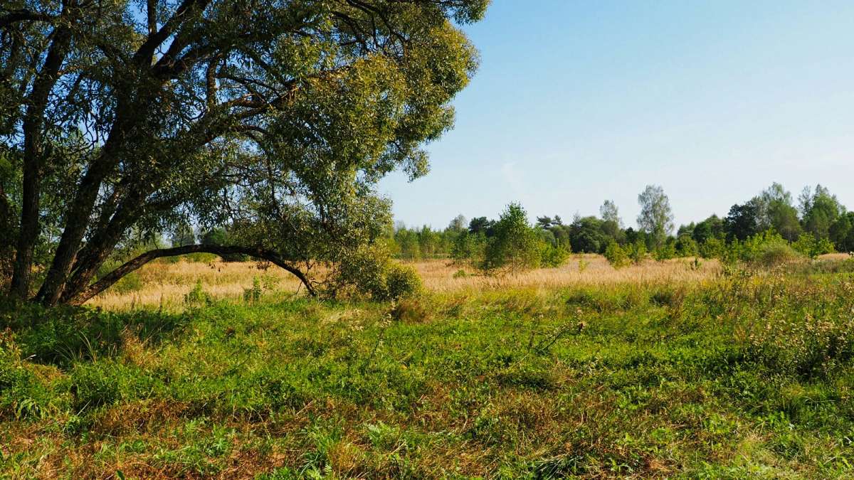 ������ ����� ����� �������� �������� �� PhotoGeek.ru #������ ��� �������