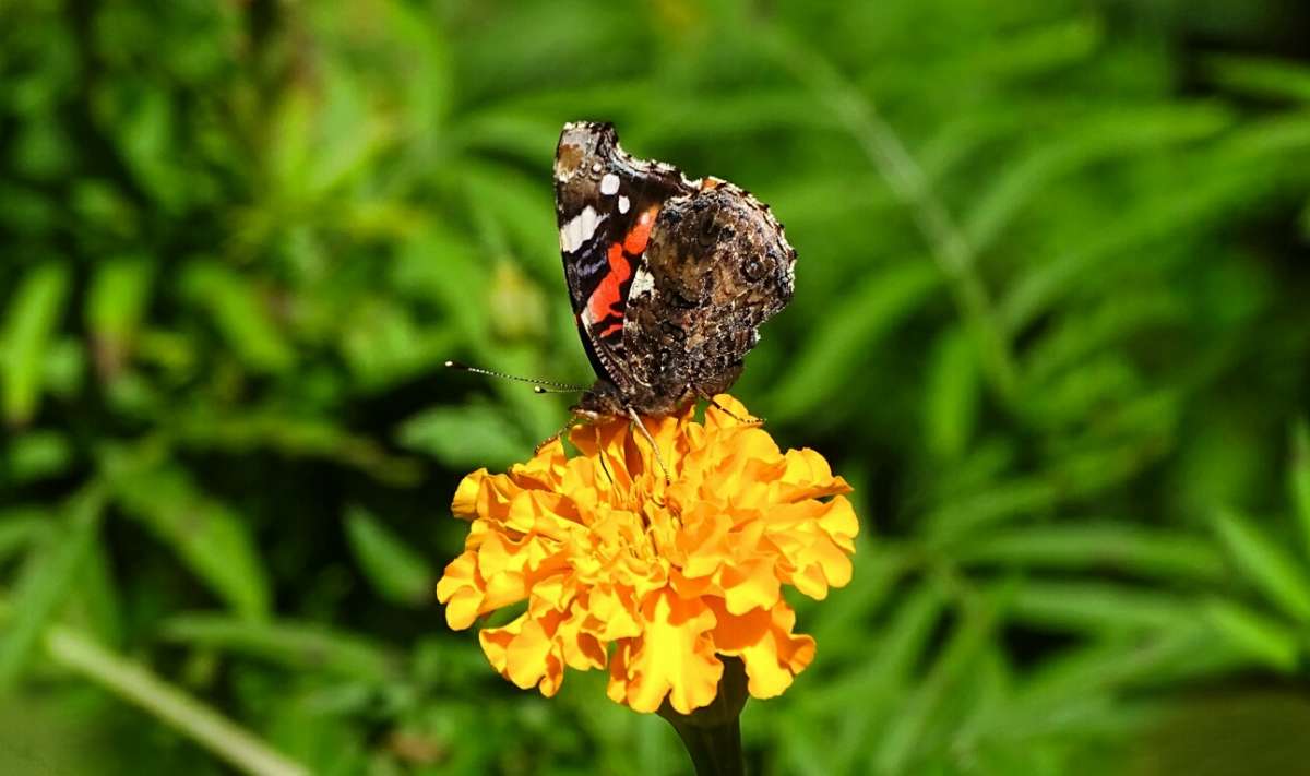 �������� ��������. ����� �������� �������� �� PhotoGeek.ru #����� #�������� ���