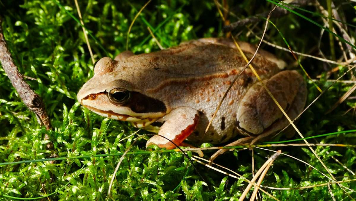 ������� ����� �����. ����� �������� �������� �� PhotoGeek.ru #����� #�������� ���