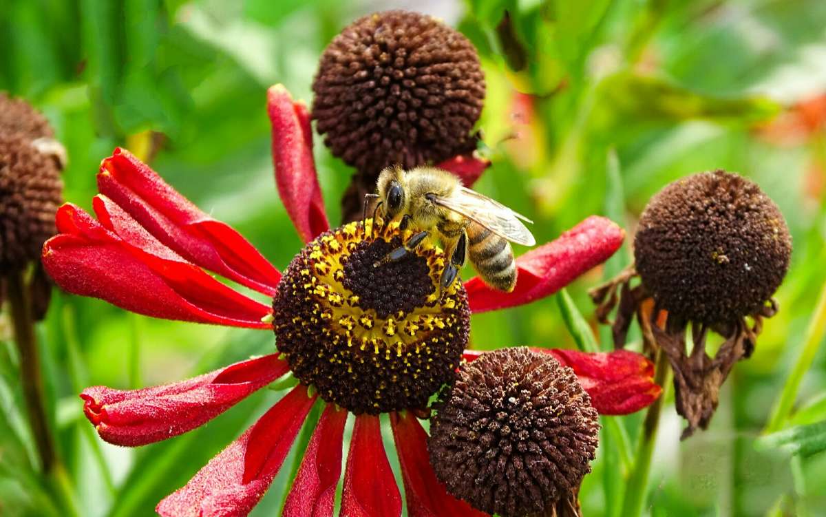 �������� �����. ����� �������� �������� �� PhotoGeek.ru #�����