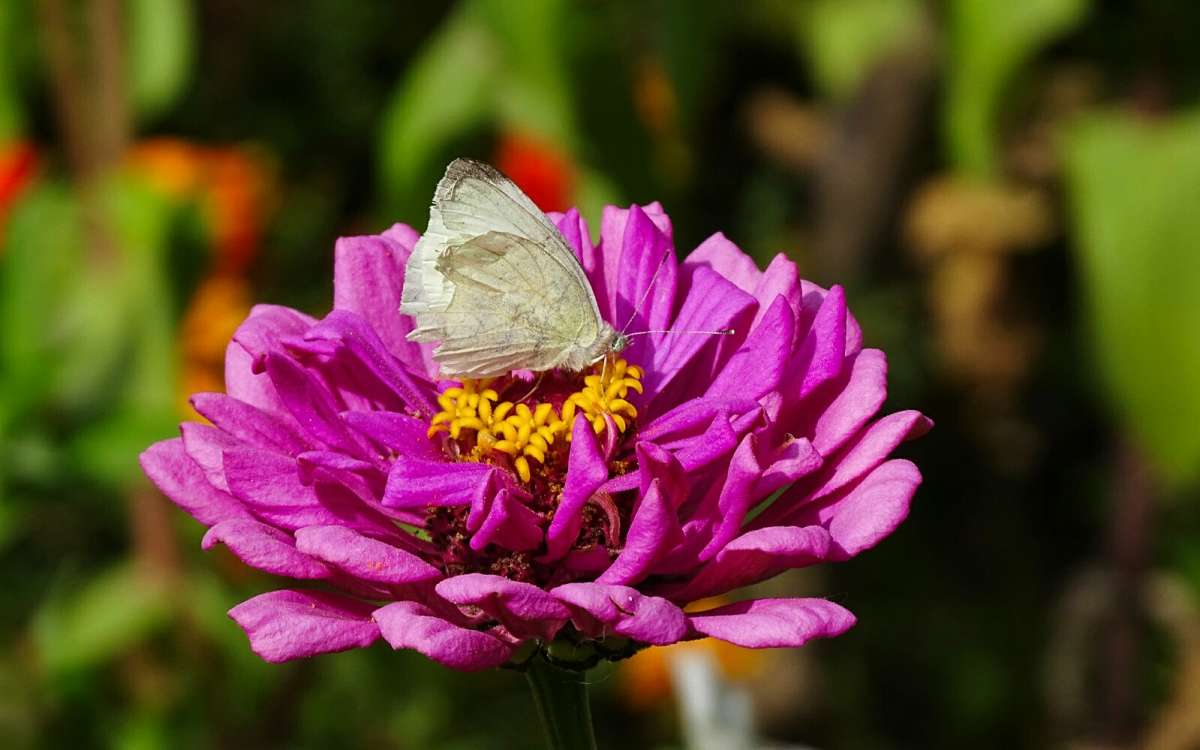 ������ �����. ����� �������� �������� �� PhotoGeek.ru #�����