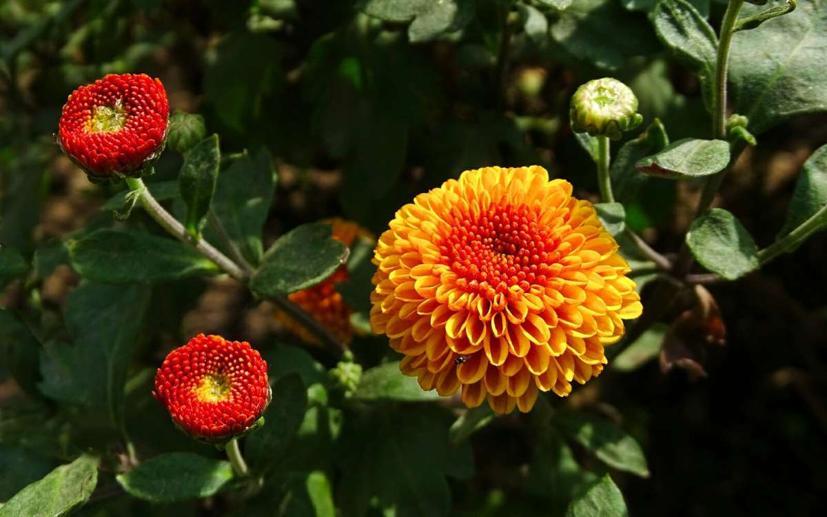 ����� ������� �����. ����� �������� �������� �� PhotoGeek.ru #����� #����� #������ ��� �������