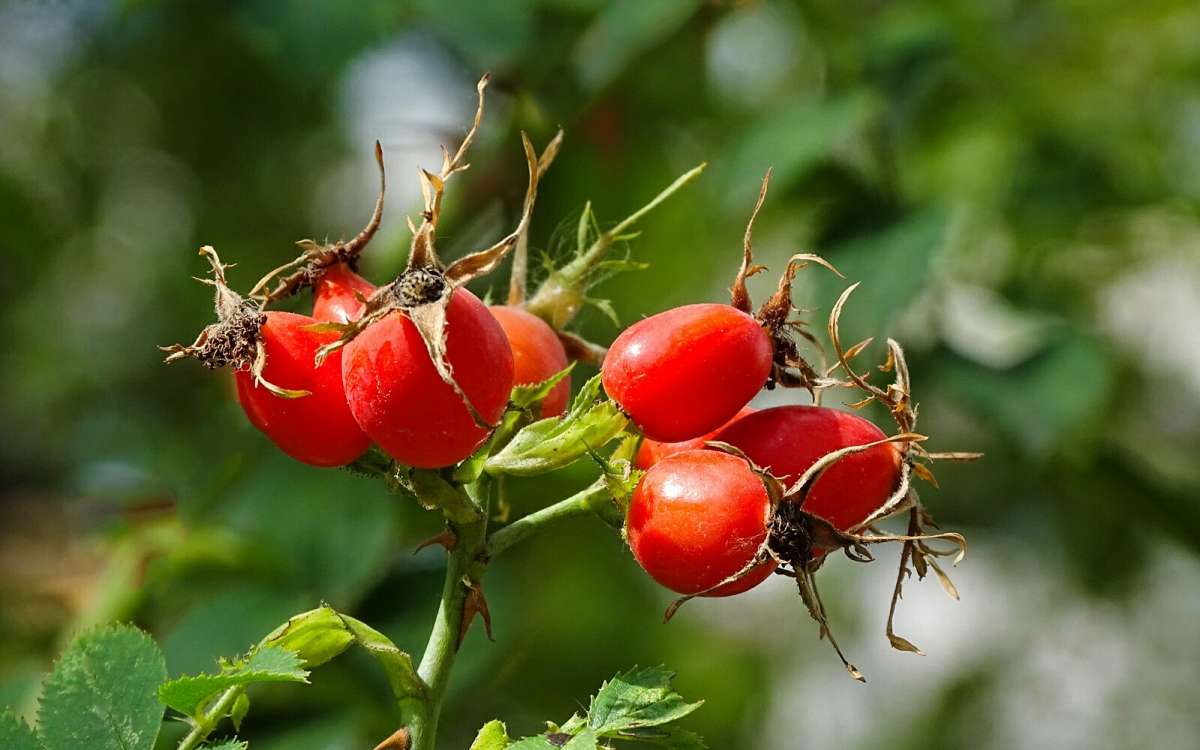 ������ ��������. ����� �������� �������� �� PhotoGeek.ru #����� #�����