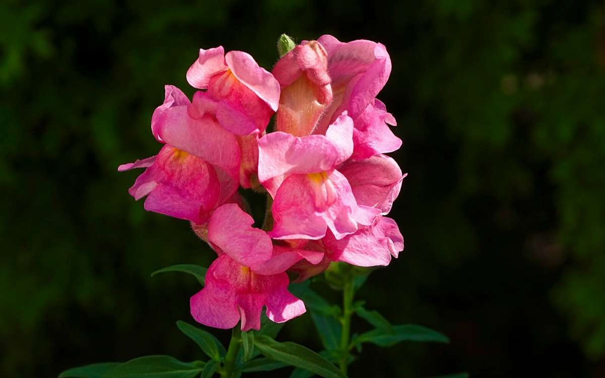 ������� ���. ����� �������� �������� �� PhotoGeek.ru #����� #�����