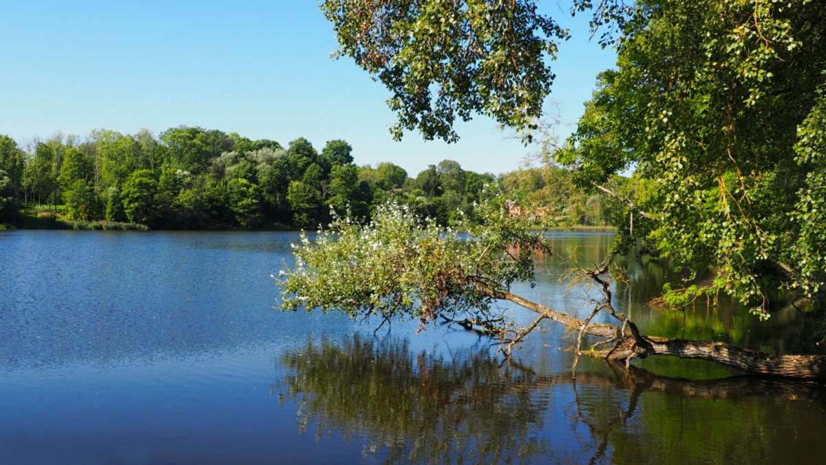 ����� �� ����������. ����� �������� �������� �� PhotoGeek.ru #������ ��� �������