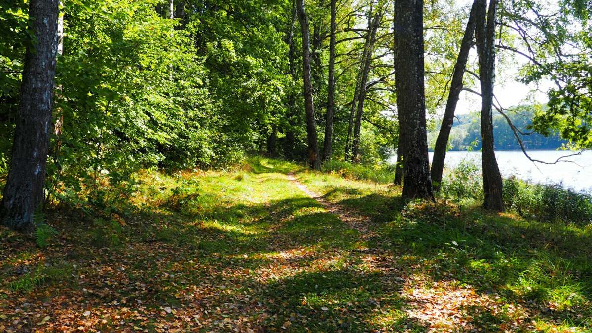 �������� ����� �������� �������� �� PhotoGeek.ru #������ ��� �������