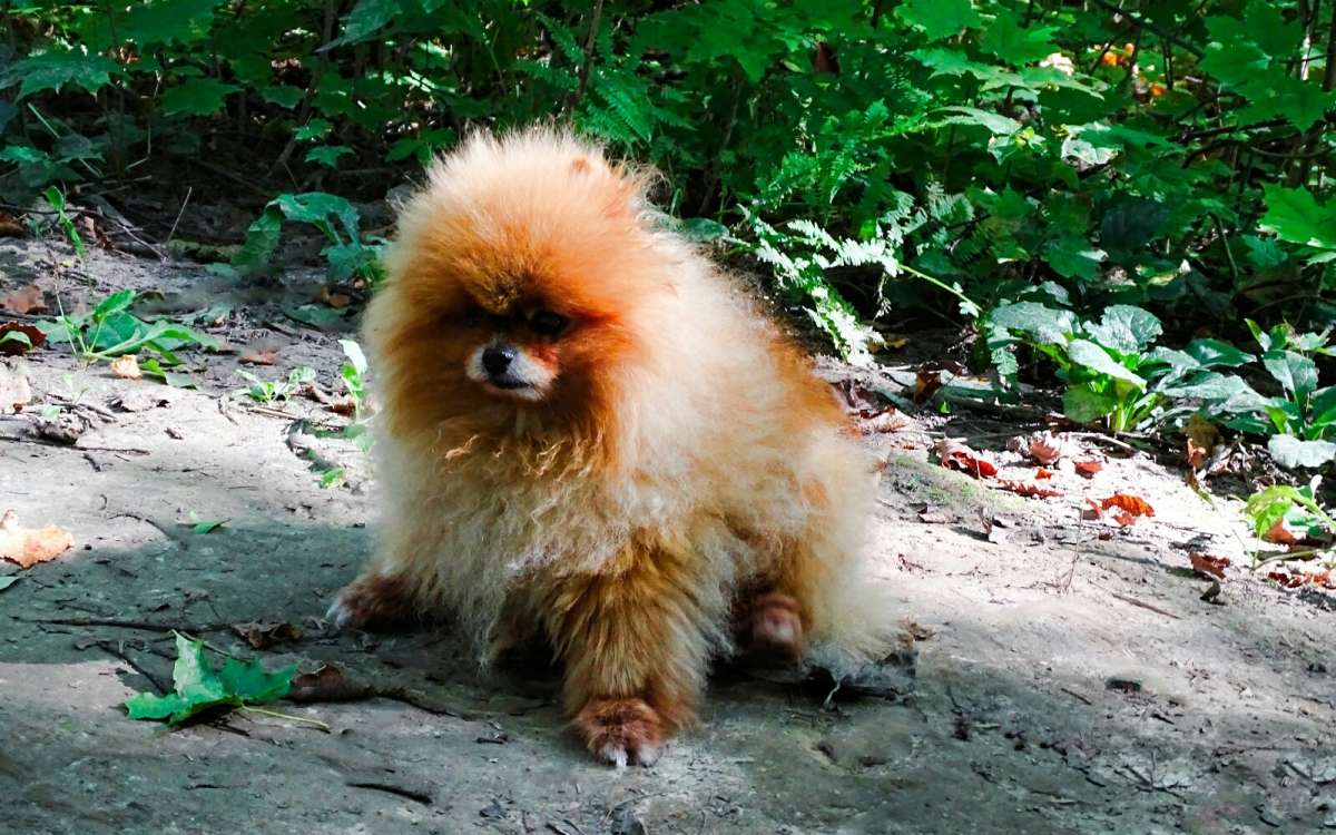 ������, ������� �� �����. ����� �������� �������� �� PhotoGeek.ru #����� #�������� ���