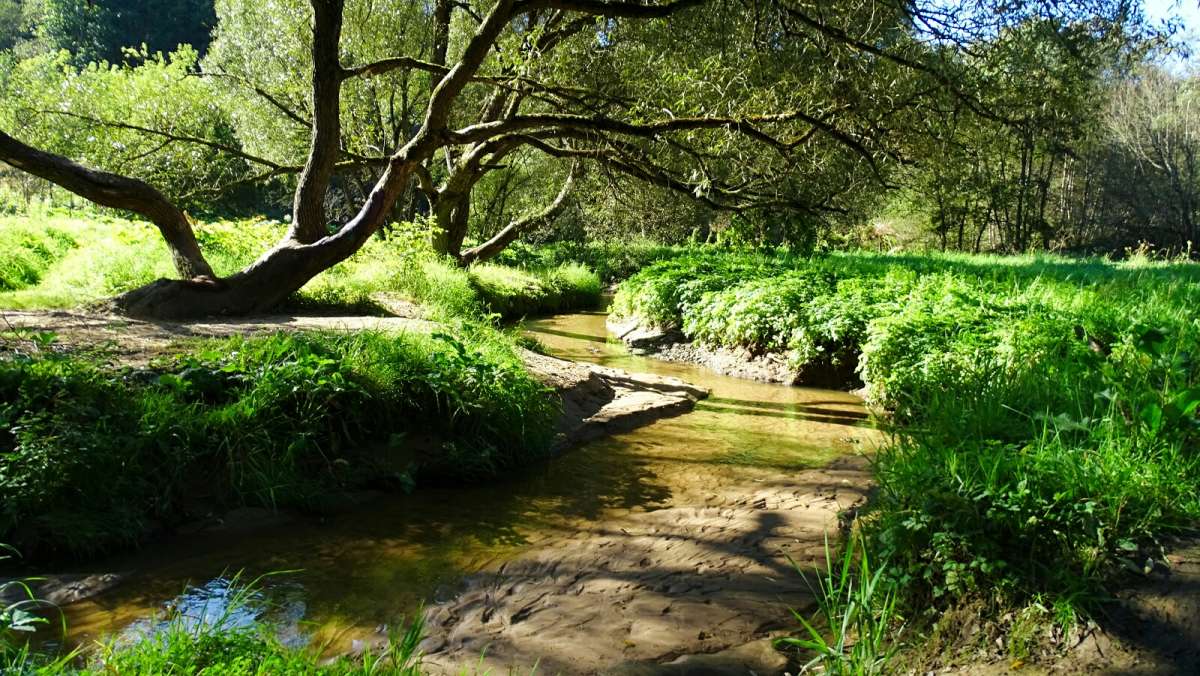 �������� � ��������� �����. ����� �������� �������� �� PhotoGeek.ru #����� #������ ��� �������