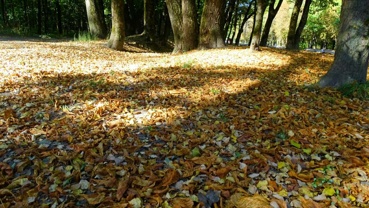 ������ ������� �����. ����� �������� �������� �� PhotoGeek.ru #����� #������ ��� �������