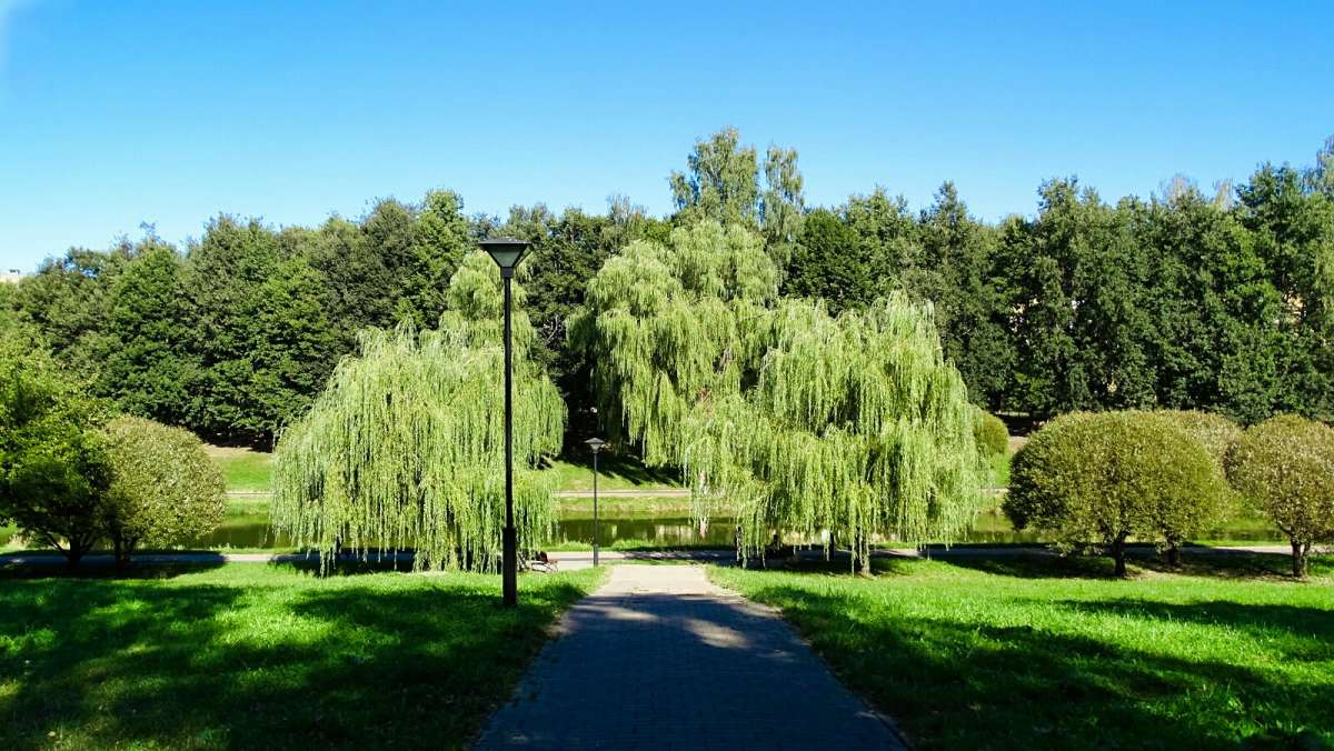 ������ ����� � ������. ����� �������� �������� �� PhotoGeek.ru #����� #������ ��� �������