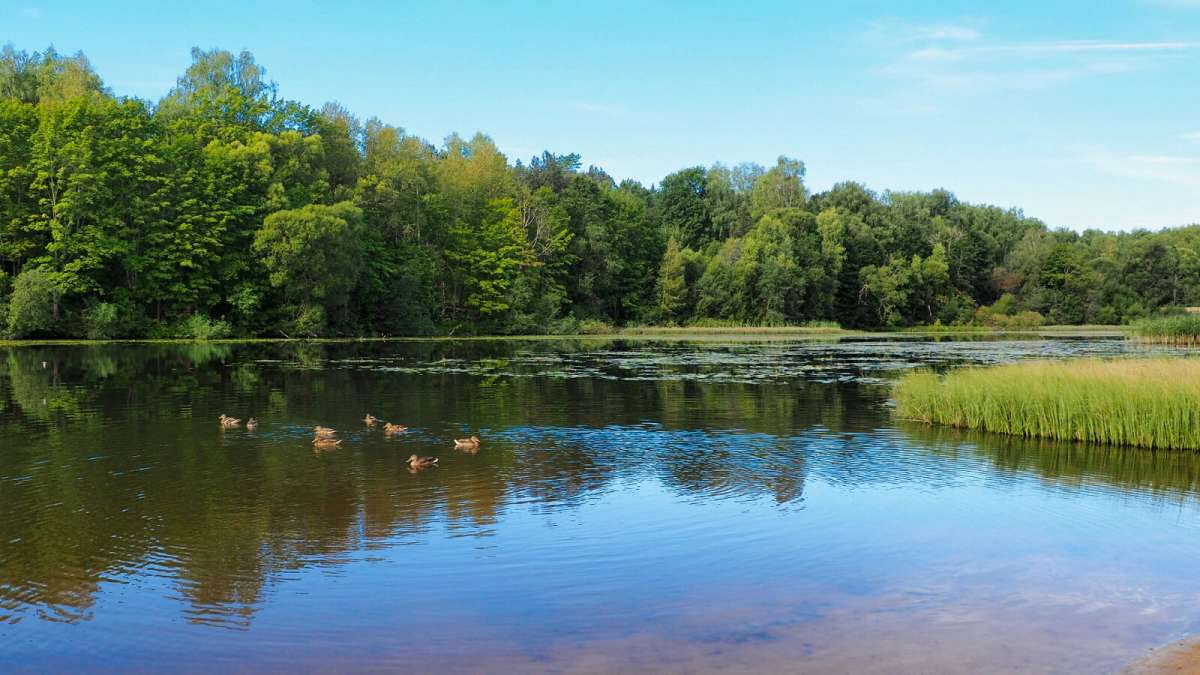 ���������� � ������� ����� �������� �������� �� PhotoGeek.ru #������ ��� �������